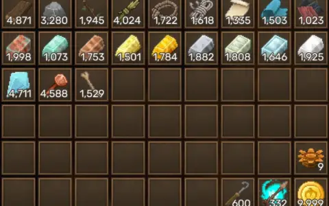 Max Item Stack Size