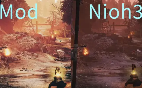 Nioh 3 Reflection 2.0