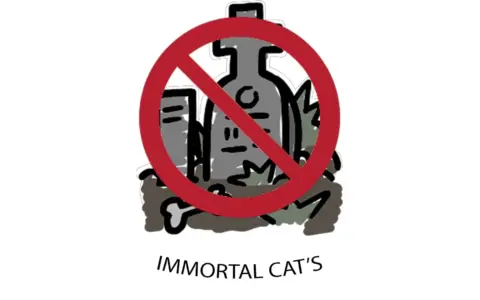Immortal Cats
