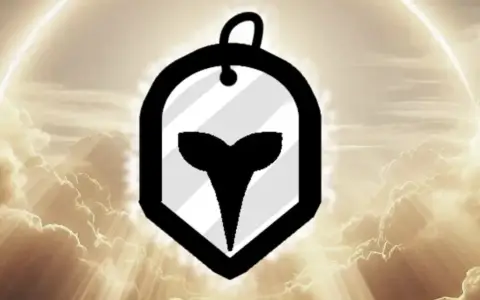 Paladin – Tanky Healer