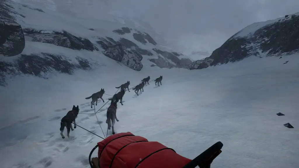 Crossing Snow By Dog Sled in WILL Follow The Light