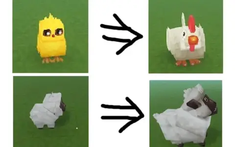 Animal Growth