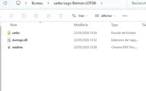 UE4ss for Lego Batman